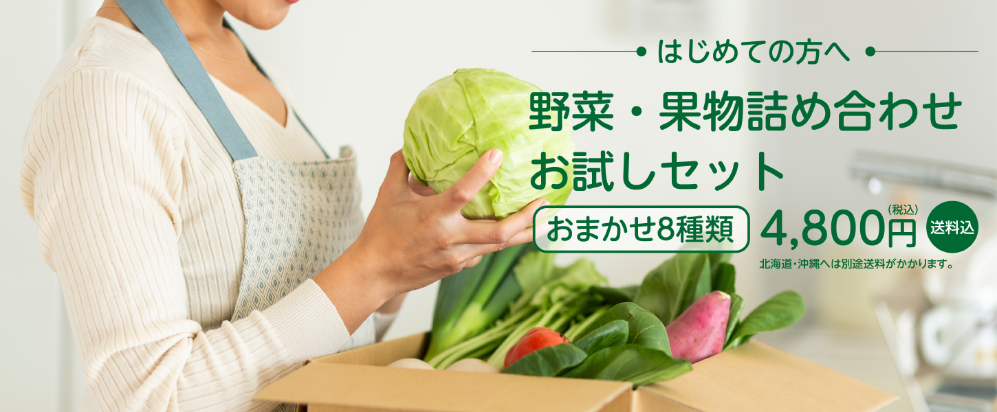 お試しセット