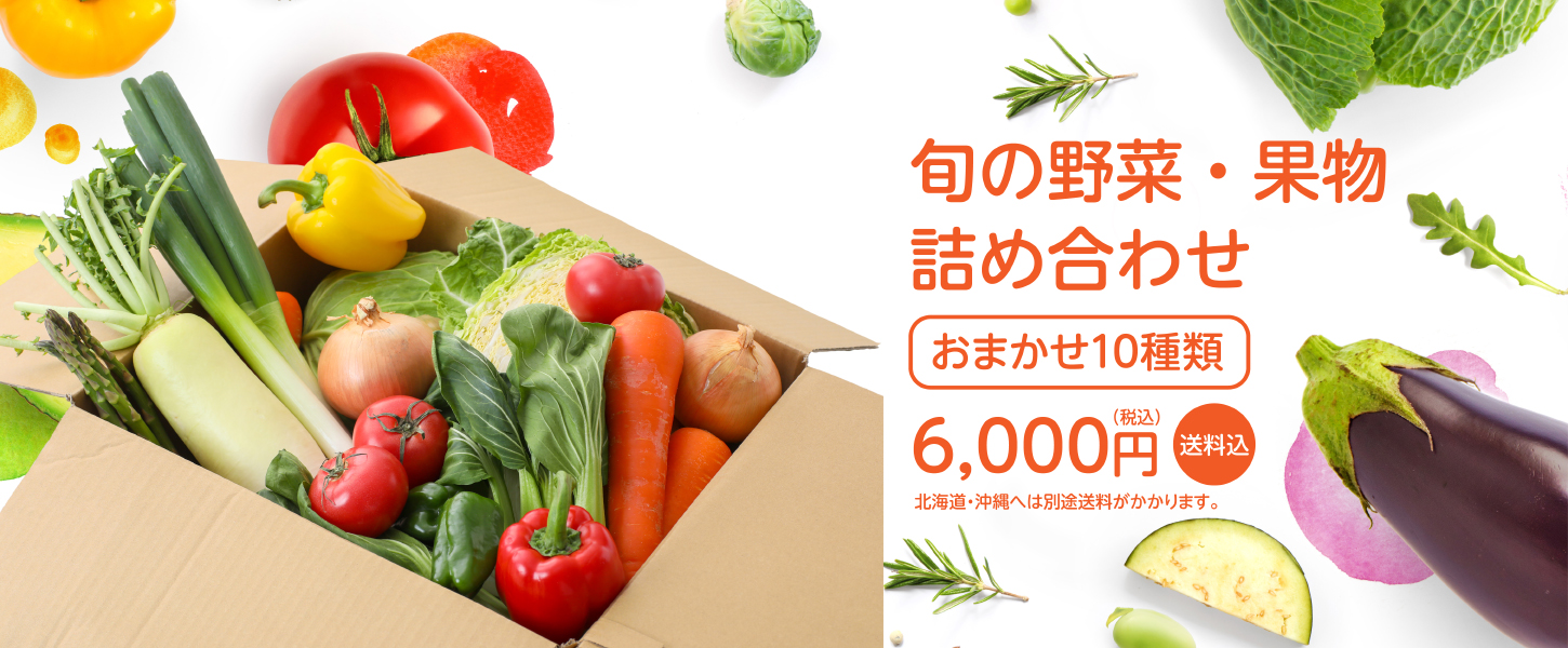 おまかせ10種セット